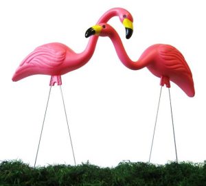 Fenicottero mania flamingo - kadosa