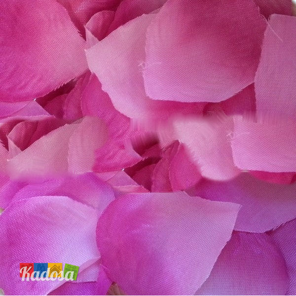 petali rosa viola lilla - kadosa