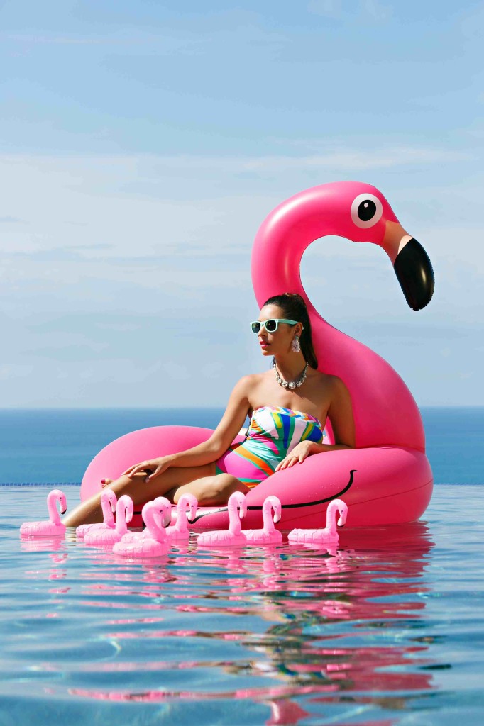 Flamingo everywhere – Fenicottero mania!